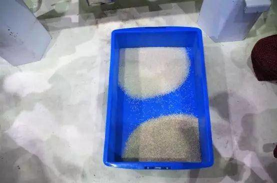 砥礪奮進的五年 安徽省肥西縣探索文明創(chuàng)建新路徑 大米色選機助力產(chǎn)業(yè)升級